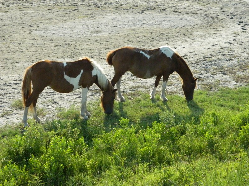 DSCN2373.JPG
