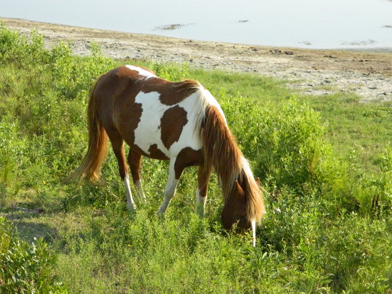 DSCN2374.JPG