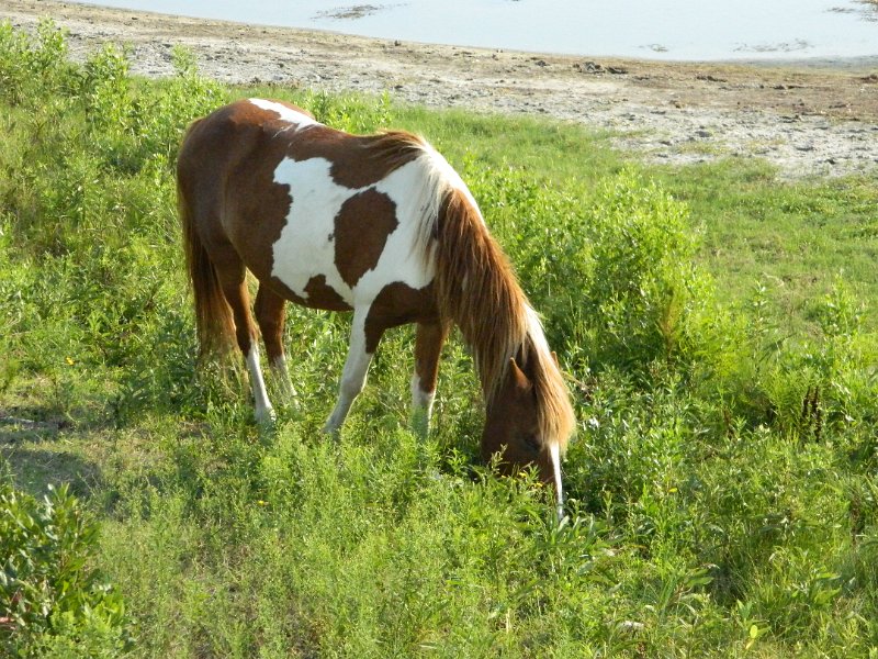 DSCN2375.JPG