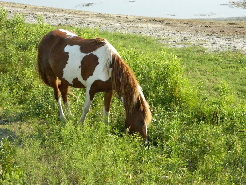 DSCN2376.JPG