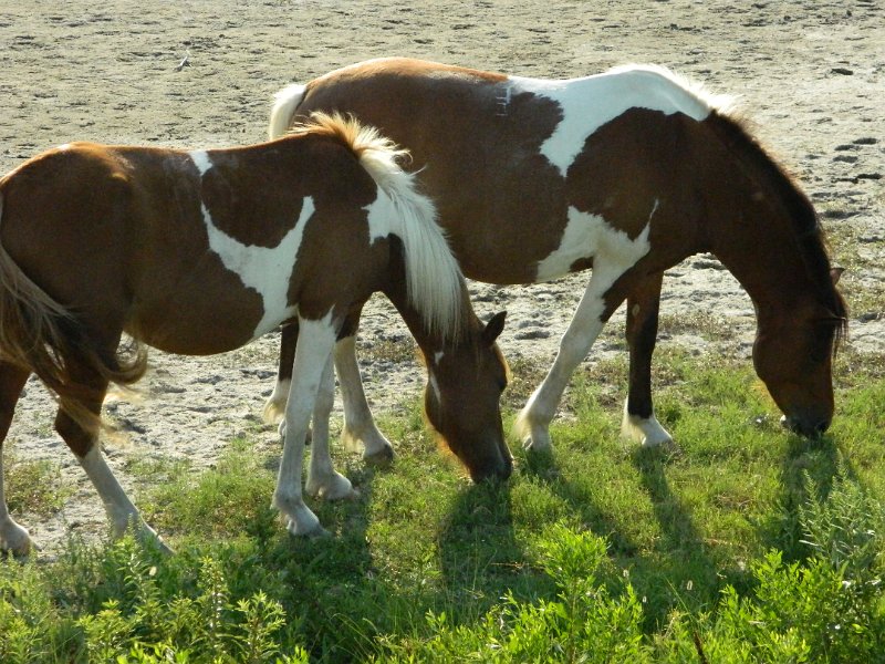 DSCN2378.JPG