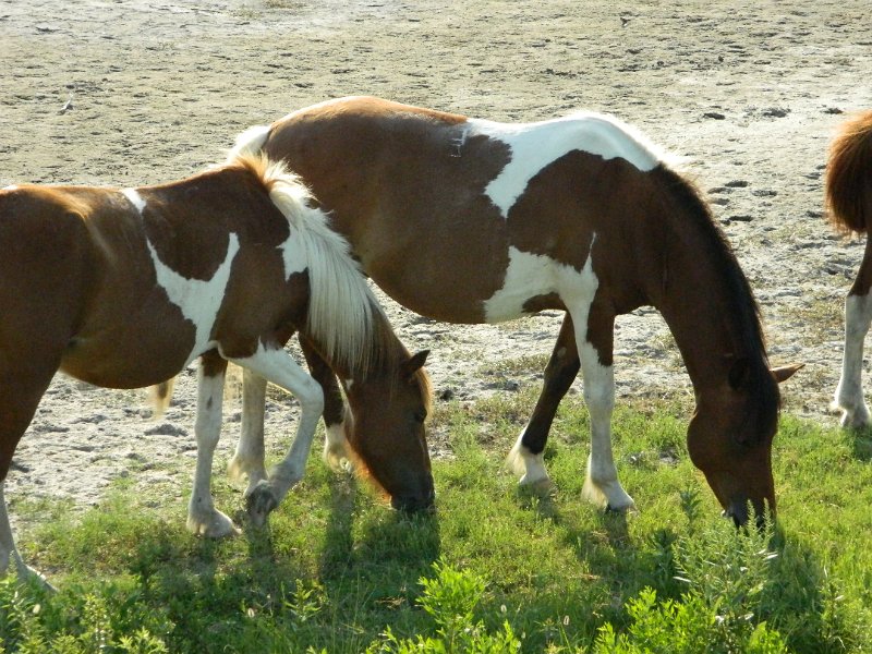 DSCN2379.JPG