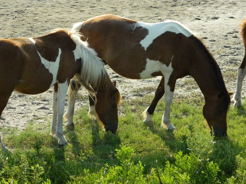 DSCN2380.JPG