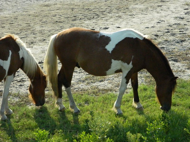 DSCN2381.JPG