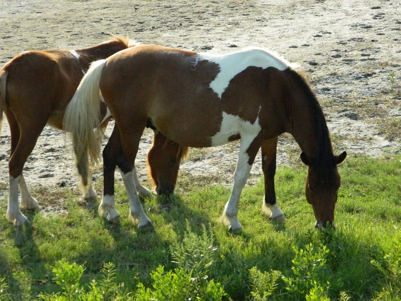 DSCN2382.JPG