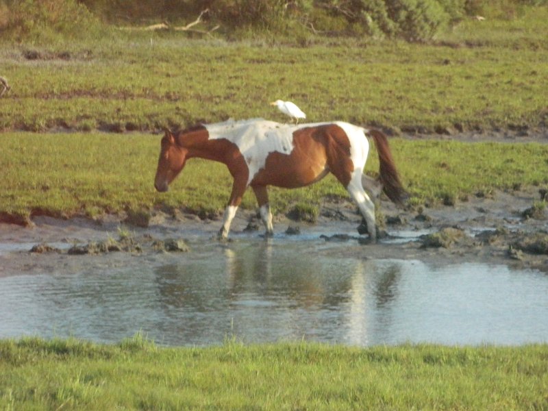 DSCN2383.JPG