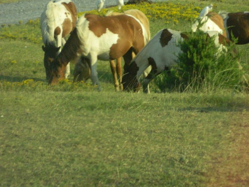 DSCN2384.JPG