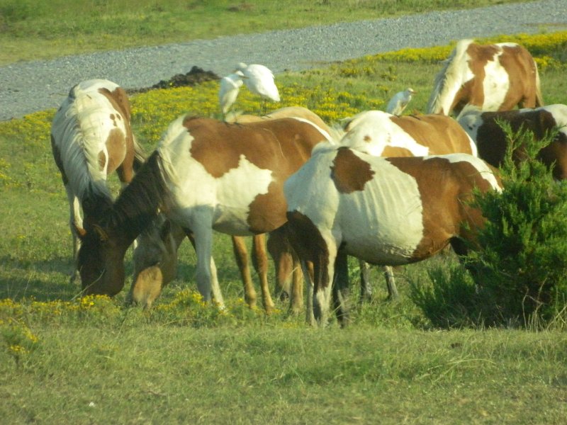 DSCN2385.JPG