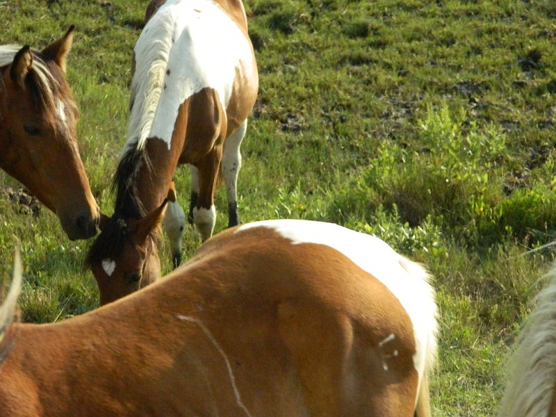 DSCN2387.JPG