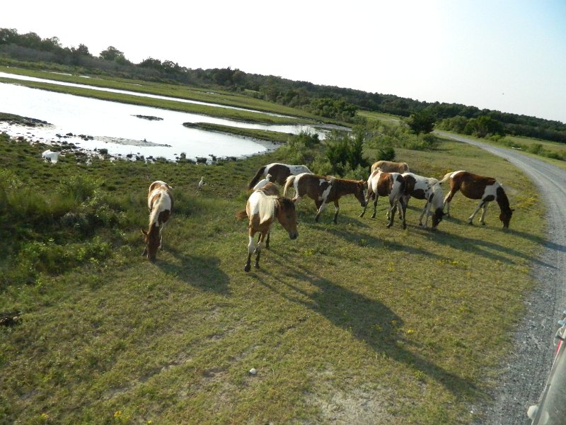 DSCN2388.JPG