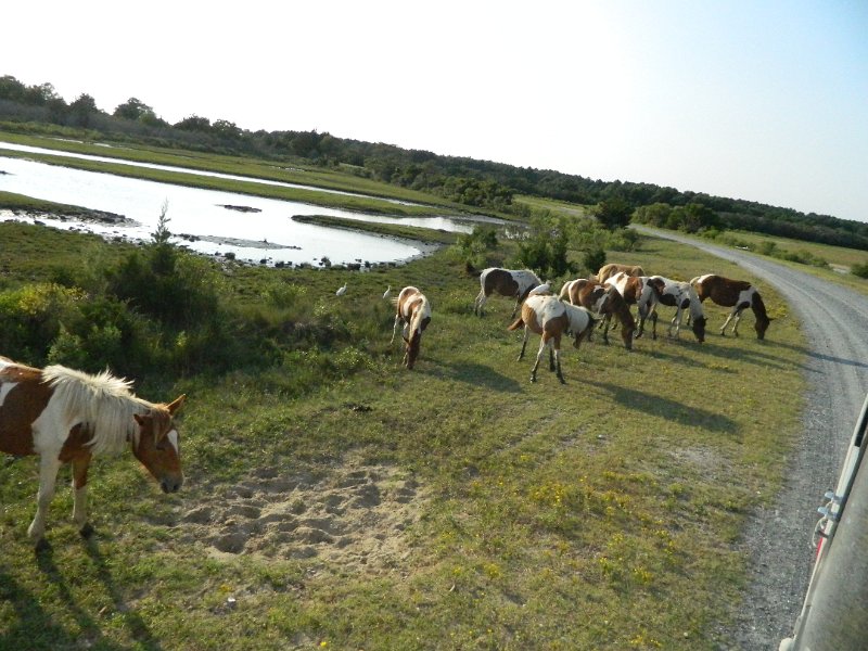 DSCN2389.JPG