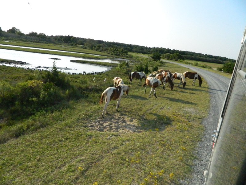 DSCN2391.JPG