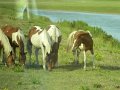 DSCN2209