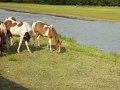 DSCN2212