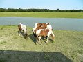 DSCN2214