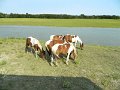 DSCN2215