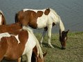 DSCN2217