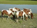 DSCN2222