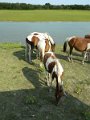 DSCN2233