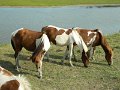 DSCN2235