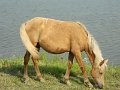 DSCN2242
