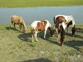 DSCN2246