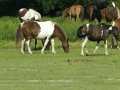 DSCN2261