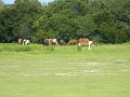 DSCN2272