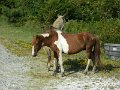 DSCN2282