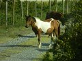 DSCN2283