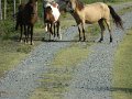 DSCN2297
