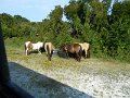DSCN2307