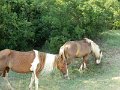 DSCN2344