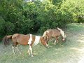 DSCN2345