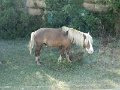 DSCN2346