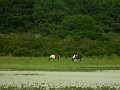 DSCN2354