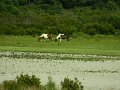 DSCN2357