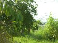 DSCN2363