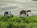 DSCN2369