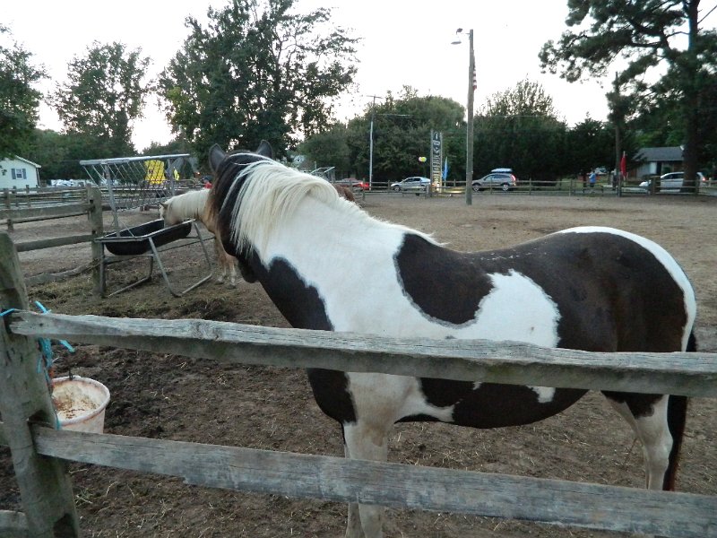 DSCN2394.JPG