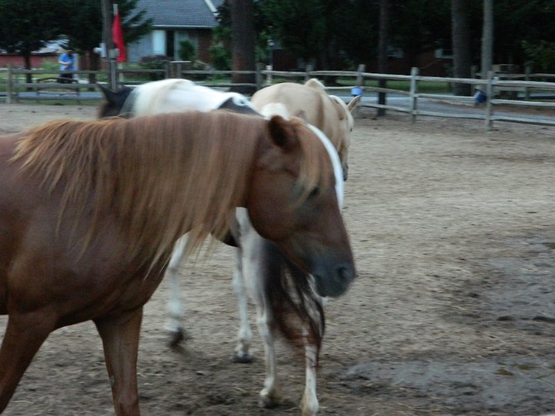 DSCN2395.JPG