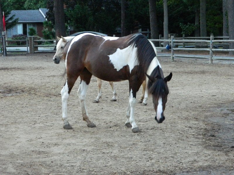 DSCN2396.JPG