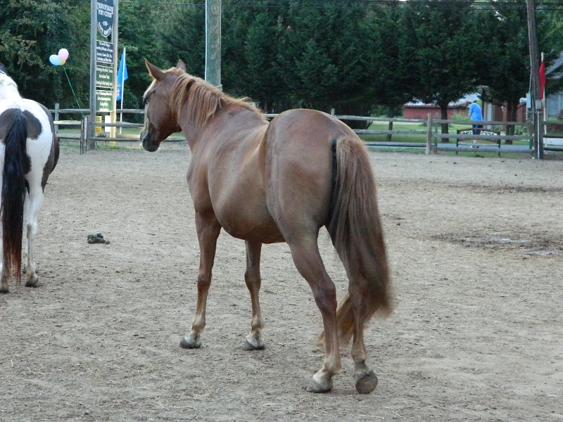 DSCN2397.JPG