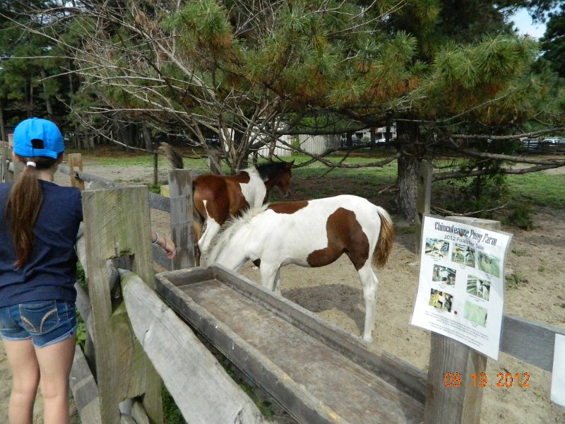 DSCN2491.JPG