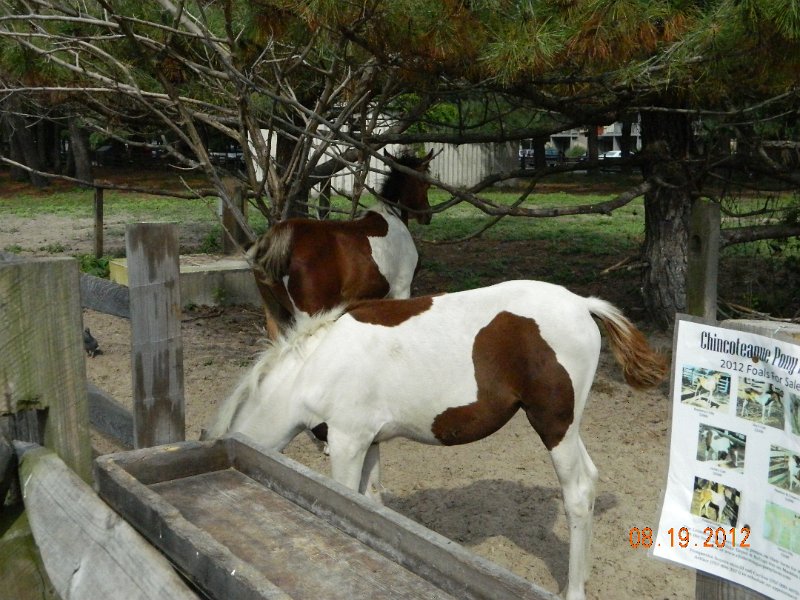 DSCN2492.JPG