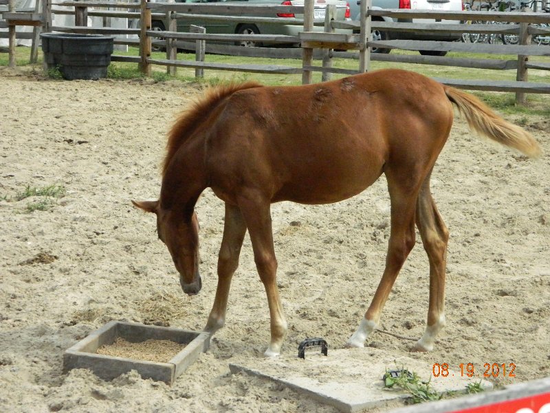 DSCN2496.JPG