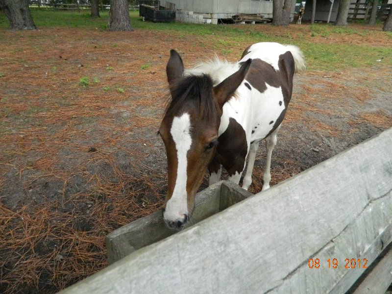 DSCN2498.JPG