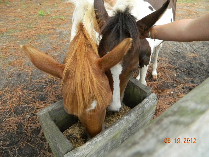 DSCN2504.JPG