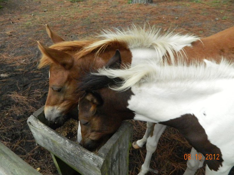 DSCN2506.JPG