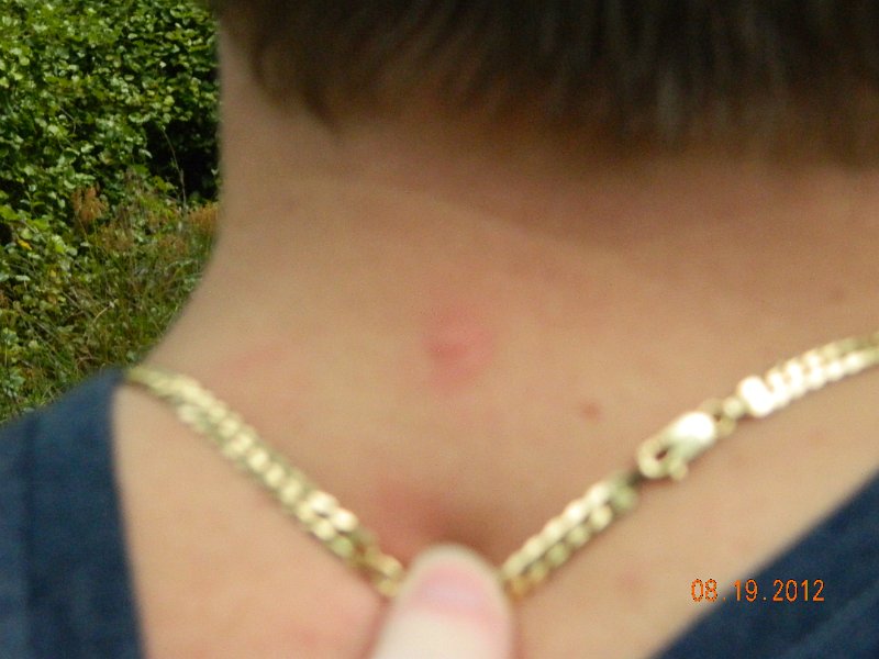 DSCN2522.JPG